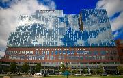 The Ohio State Wexner Medical Center Logo